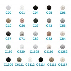 Mastic Silicone S-70 310mL