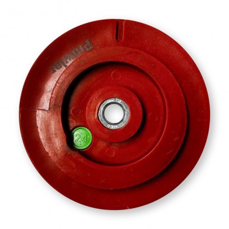 Antike T-Rex Snail Brush - Grain 24 - Back