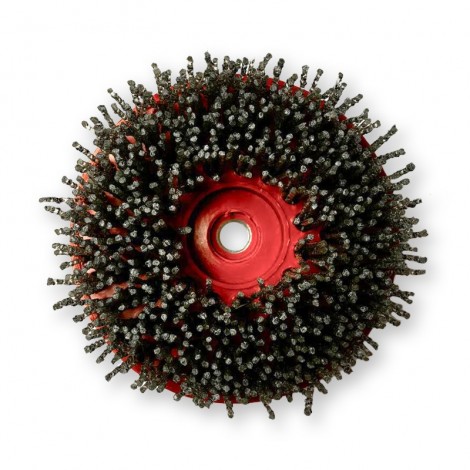 Brosse Antike T-Rex Escargot - Grain 24 - Recto